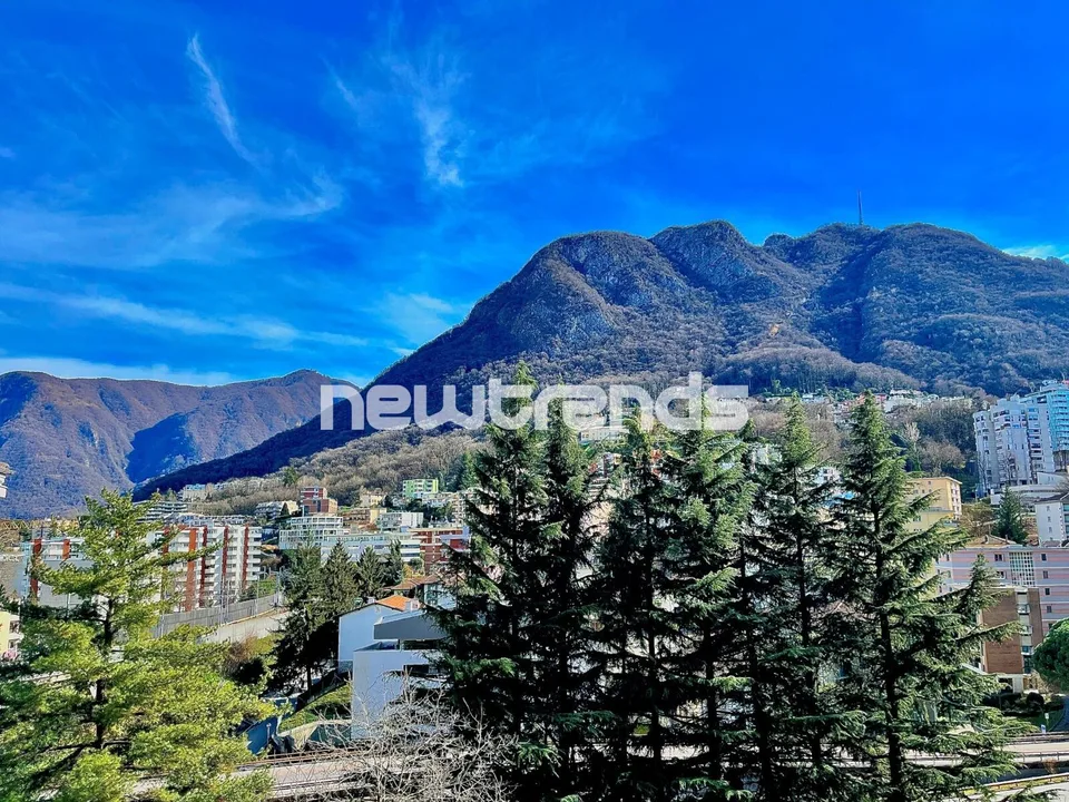 Lugano, sehr gut ausgestattete 3.5 Zimmer vollständig renoviert