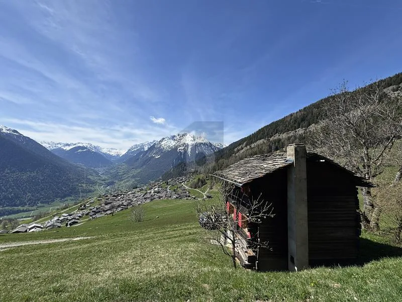 NATURE, VUE DÉGAGÉE & UNIQUE