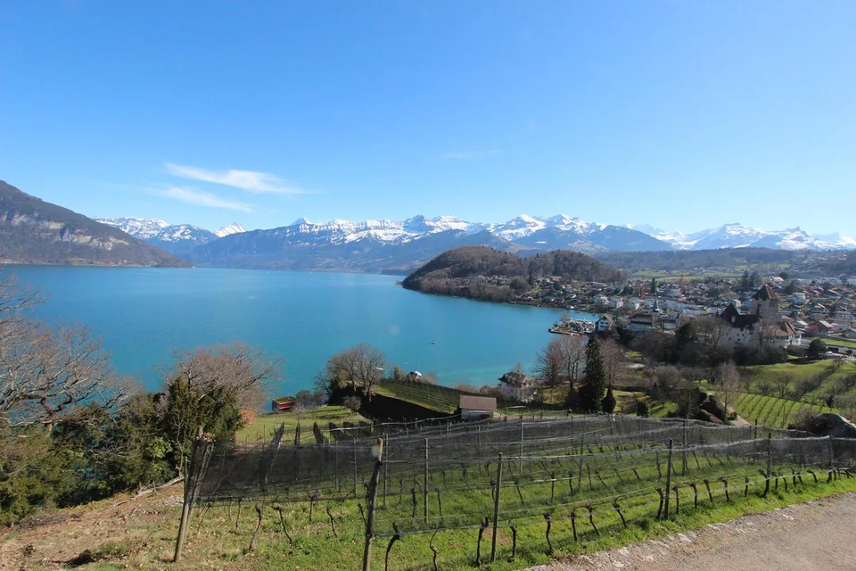 Individuelle 3.5-Zimmer-Neubauwohnungen in Spiez