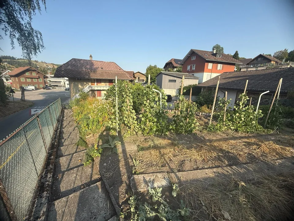Gestalten, Sanieren, Wohlfühlen – X-1000 Möglichkeiten