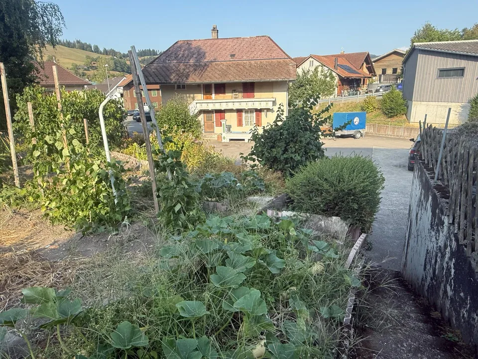 Gestalten, Sanieren, Wohlfühlen – X-1000 Möglichkeiten