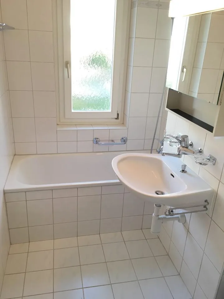 Peace & Nature, charming apartment near Lake Zurich
