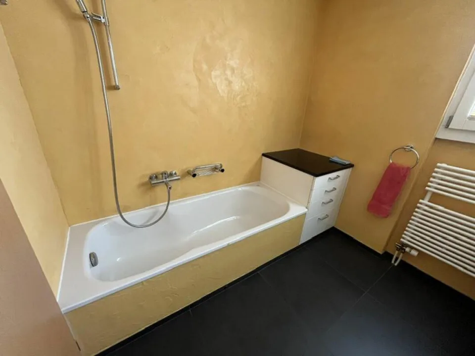 Well-maintained single-family house with large outdoor area