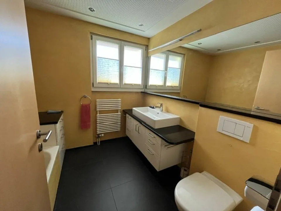 Well-maintained single-family house with large outdoor area