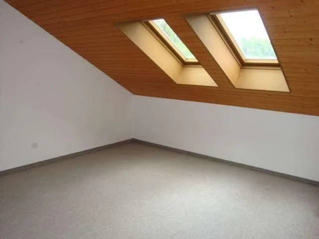 Charming attic apartment with fireplace