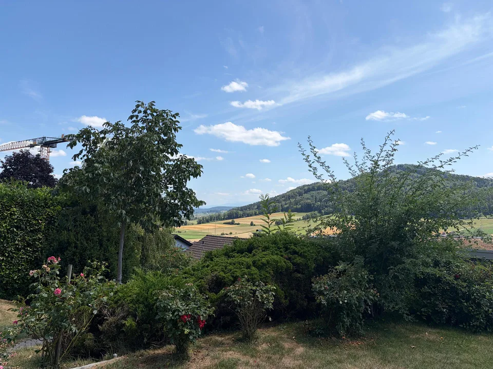 5.5 Zimmer Haus mit Hanglage