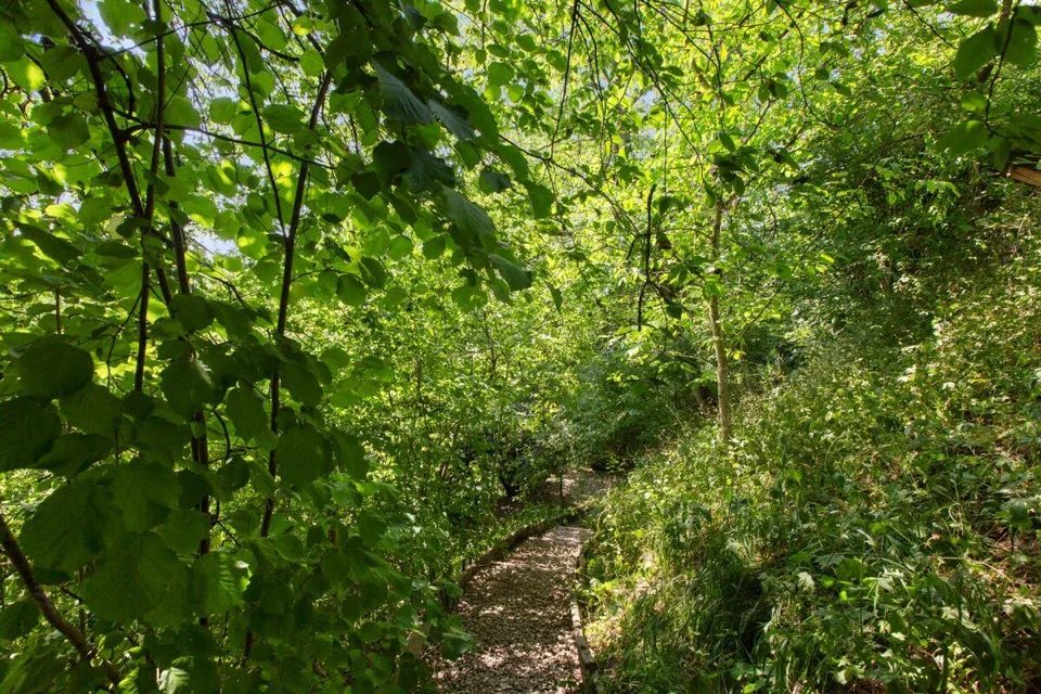 Idyllisches Anwesen mit viel Land & Privatsphäre