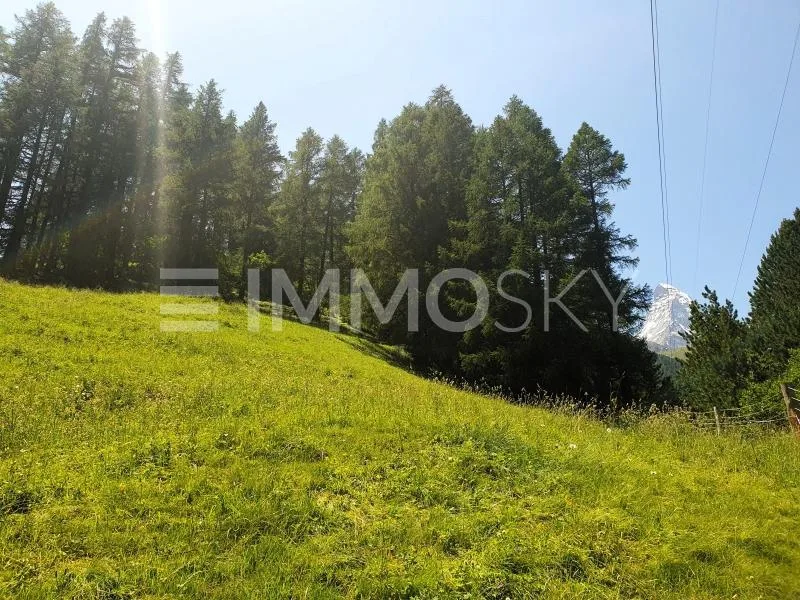 Bauland neben der Skipiste