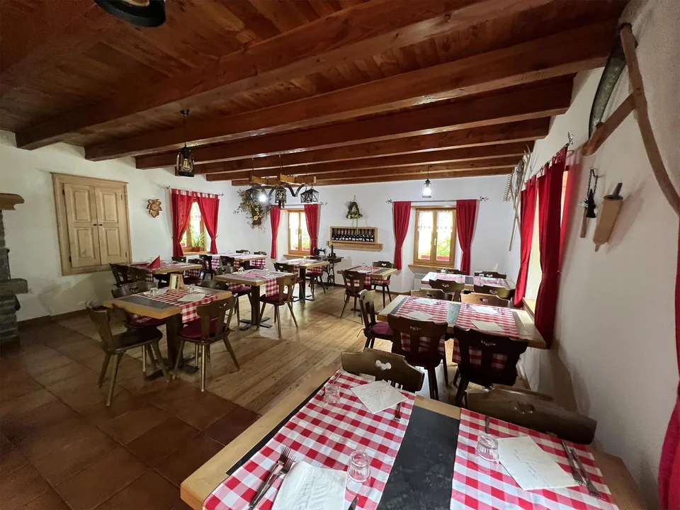 Grotte de 4 pièces avec rustico et grand espace vert à Roveredo (GR)