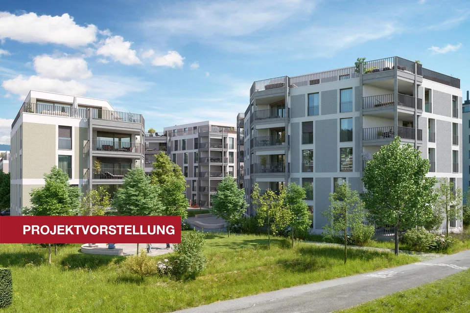 Projektvorstellung: 1. September 2026, 16.30 - 18.00 Uhr