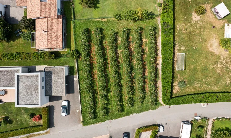 Magnifique parcelle constructible de 782 m² à Fully – Beau potentiel