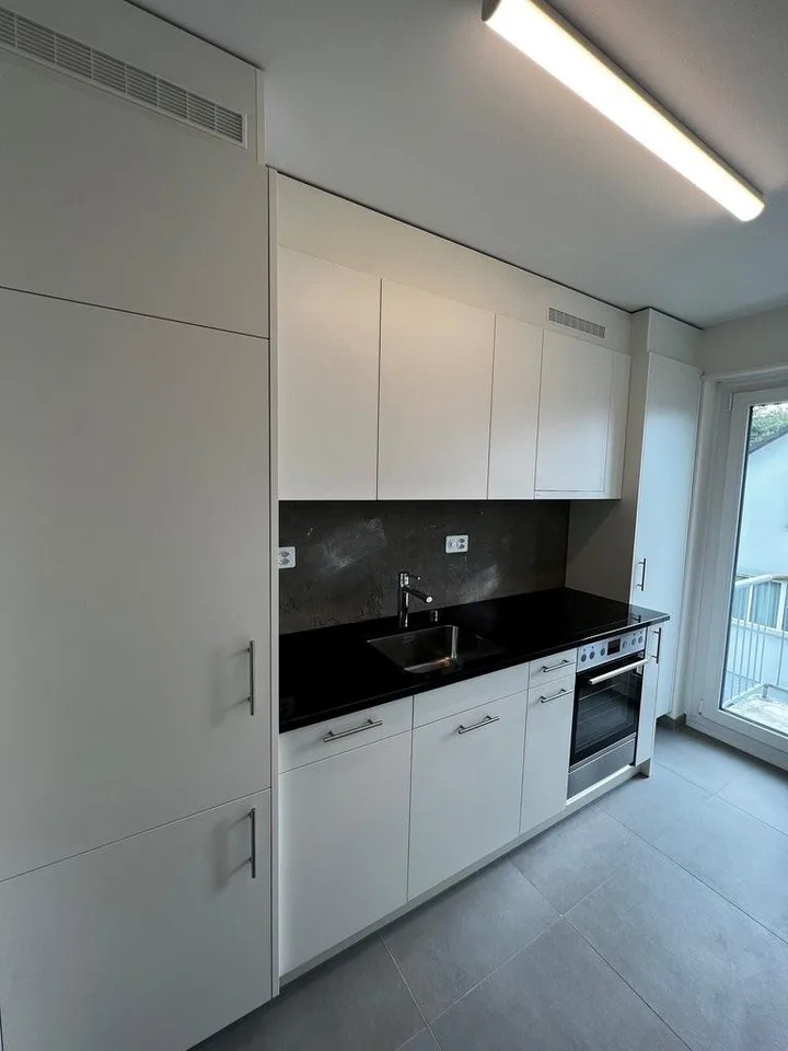 Modern apartment in Höngg