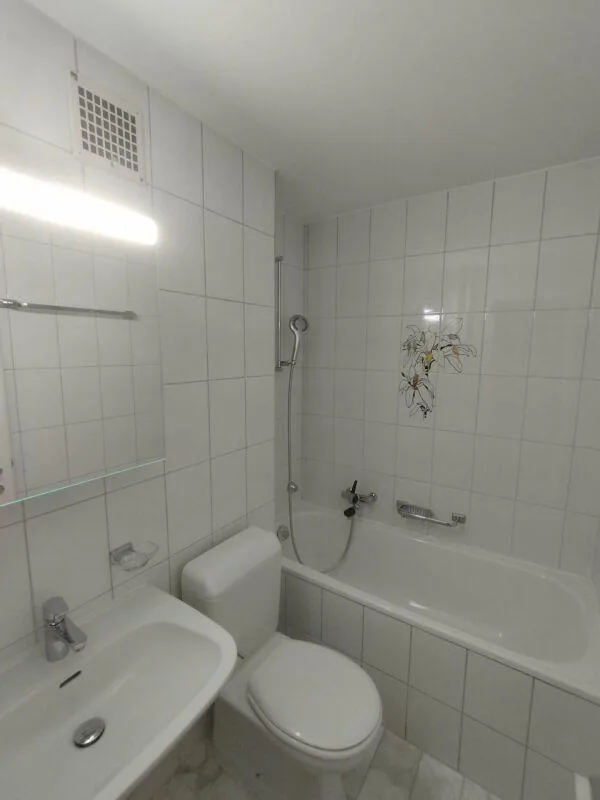 2-bedroom apartment in Basel