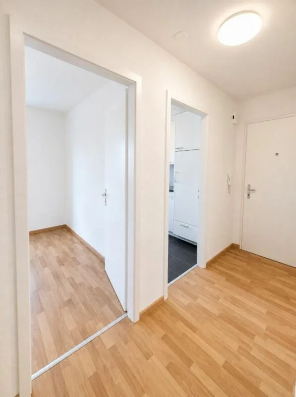 Appartement 3 pièces à Frenkendorf