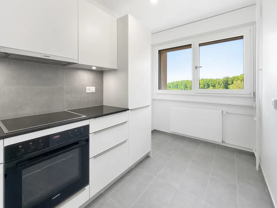 Schönes kleines Apartment im Zentrum von Thônex