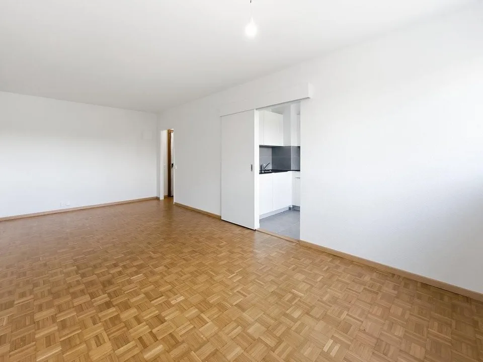 Schönes kleines Apartment im Zentrum von Thônex