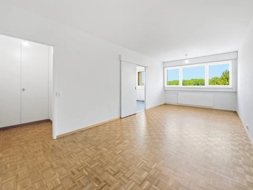 Schönes kleines Apartment im Zentrum von Thônex