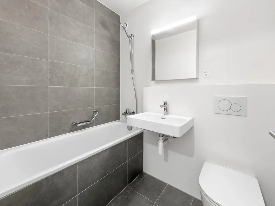 Schönes kleines Apartment im Zentrum von Thônex