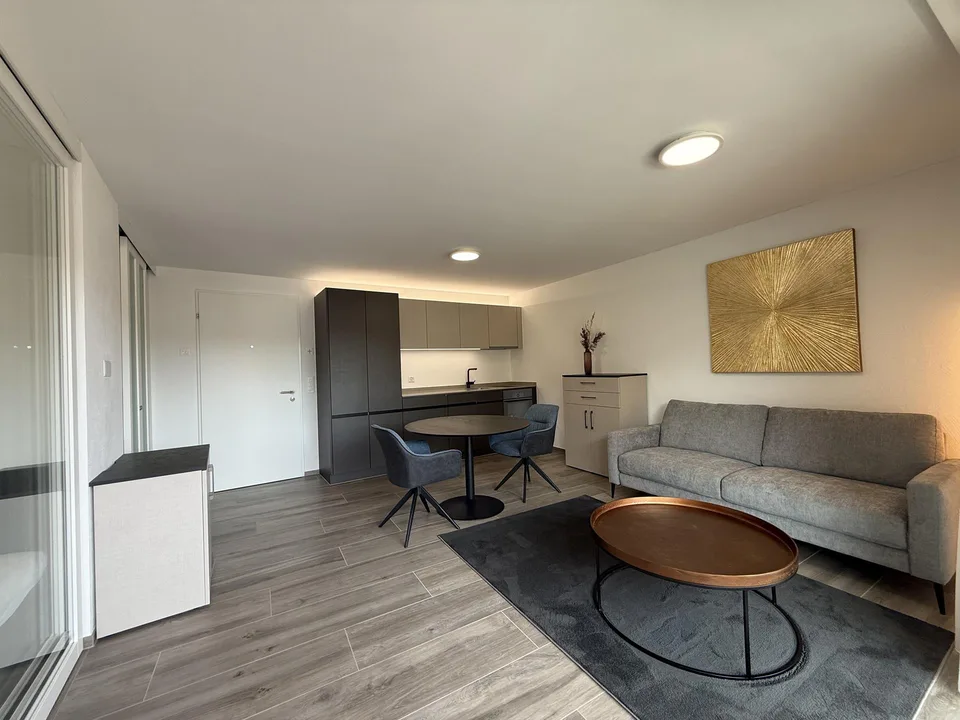 1.5 Zi.-Wohnung möbliert
