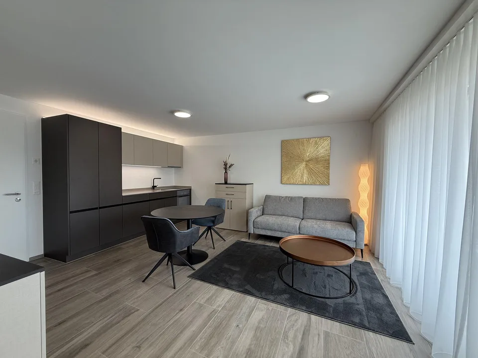 1.5 Zi.-Wohnung möbliert