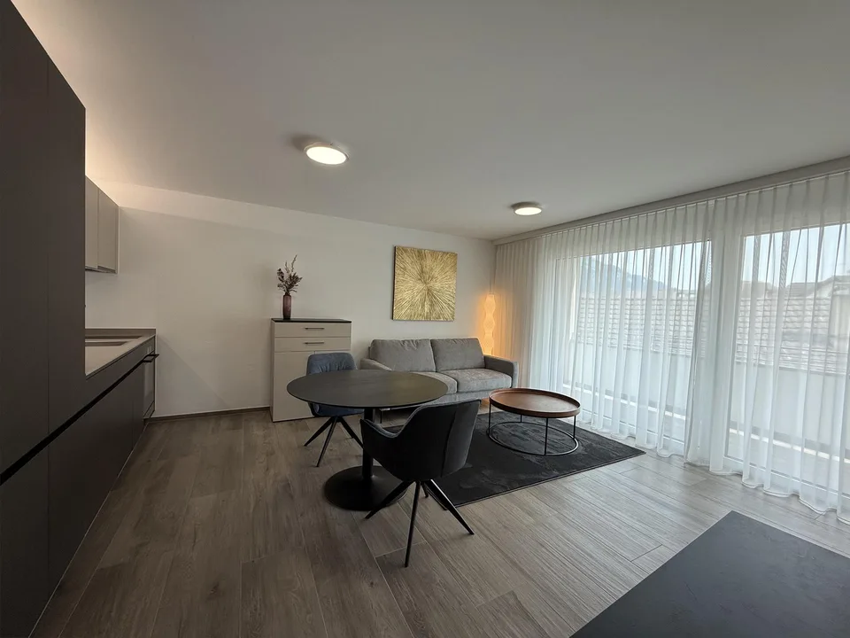 1.5 Zi.-Wohnung möbliert