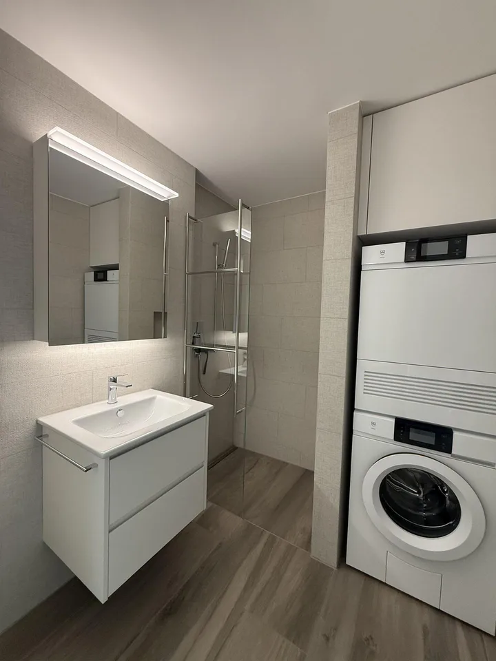 1.5 Zi.-Wohnung möbliert