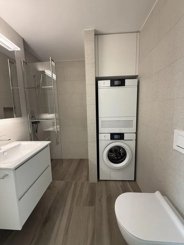 1.5 Zi.-Wohnung möbliert