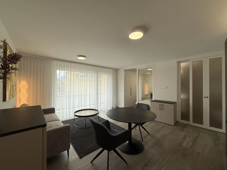 1.5 Zi.-Wohnung möbliert