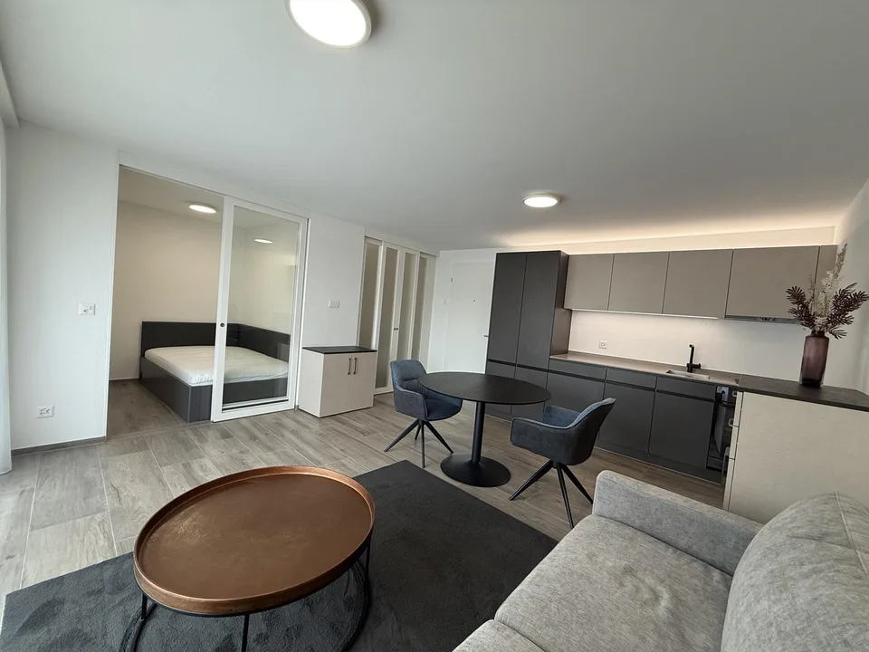 1.5 Zi.-Wohnung möbliert