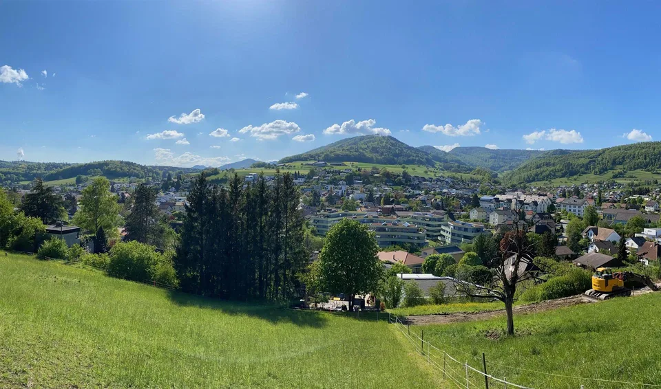 Via del Giardino Erlinsbach - Ultima Opportunità