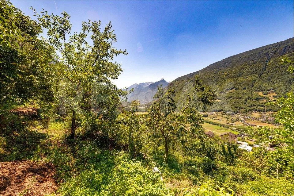 Tre caratteristici rustici con ampio terreno e splendida vista panoramica  Malvaglia