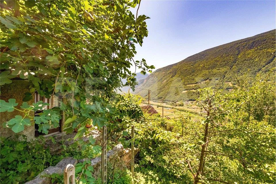 Tre caratteristici rustici con ampio terreno e splendida vista panoramica  Malvaglia