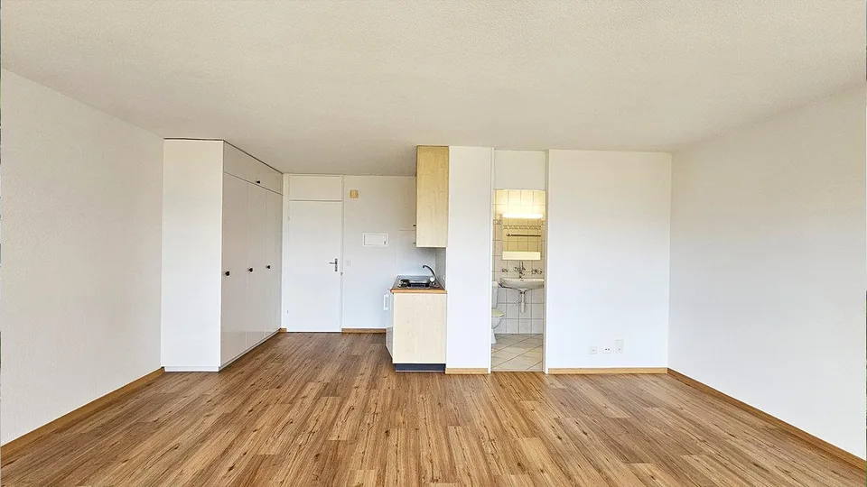 Renovierte 1.5-Zimmer-Wohnung an zentraler Lage