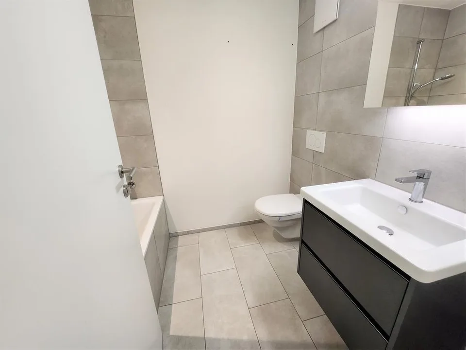 Bright 4.5-room apartment with a view of the Birs