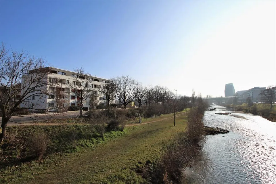 Bright 4.5-room apartment with a view of the Birs