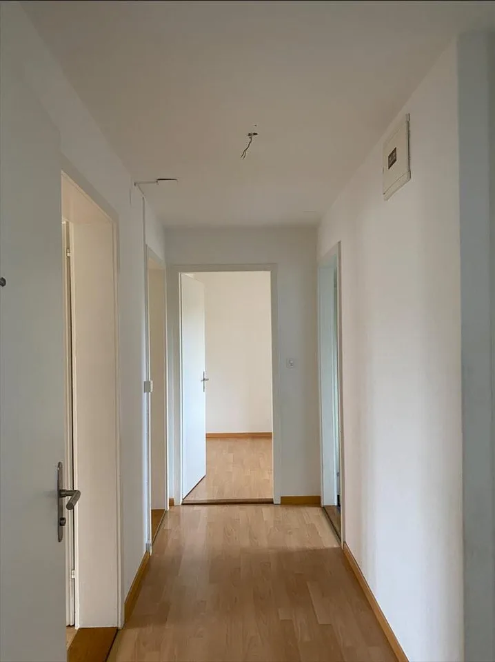 Grosszügige 3.0 Zimmerwohnung im Laufental