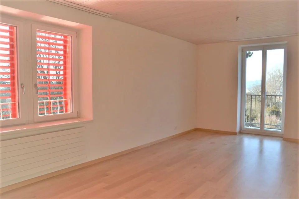 À louer appartement mansardé 3 pièces à la Wylandstr. 3a à Winterthur