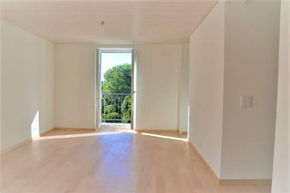 À louer appartement mansardé 3 pièces à la Wylandstr. 3a à Winterthur