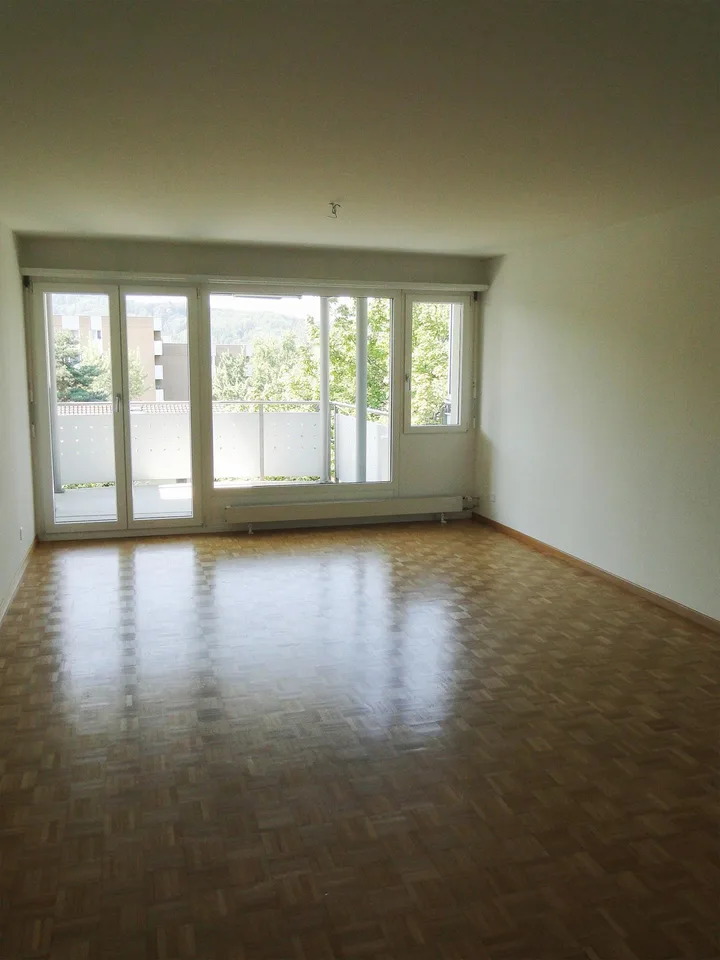 Schöne Singlewohnung mit grossem sonnigen Balkon im 2. OG