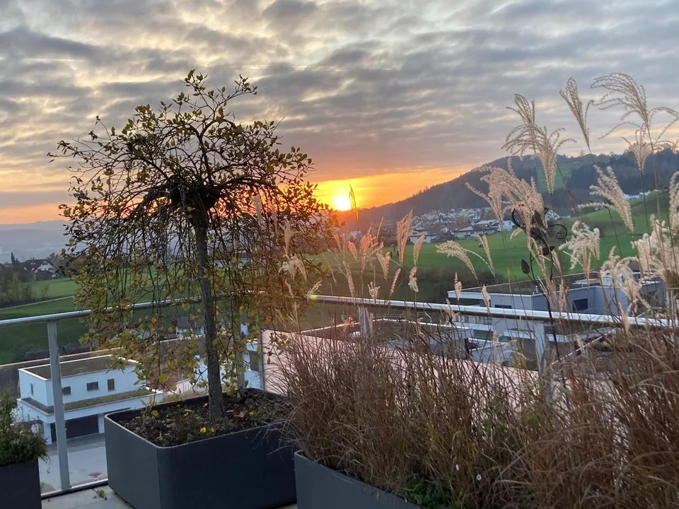 Your dream terrace apartment in Zuzwil