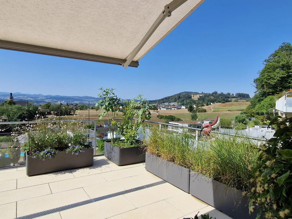 Your dream terrace apartment in Zuzwil