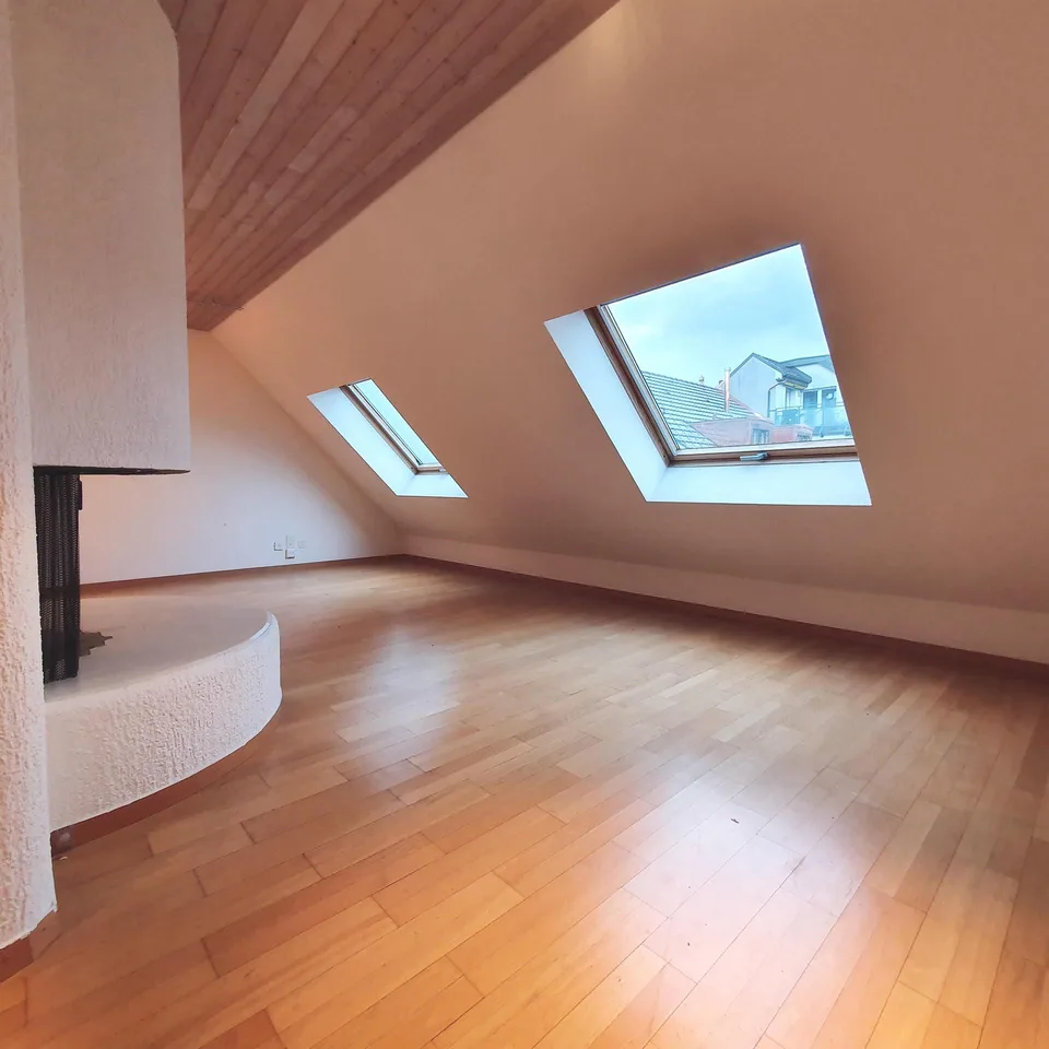 3.0 Zimmerwohnung in Luzern