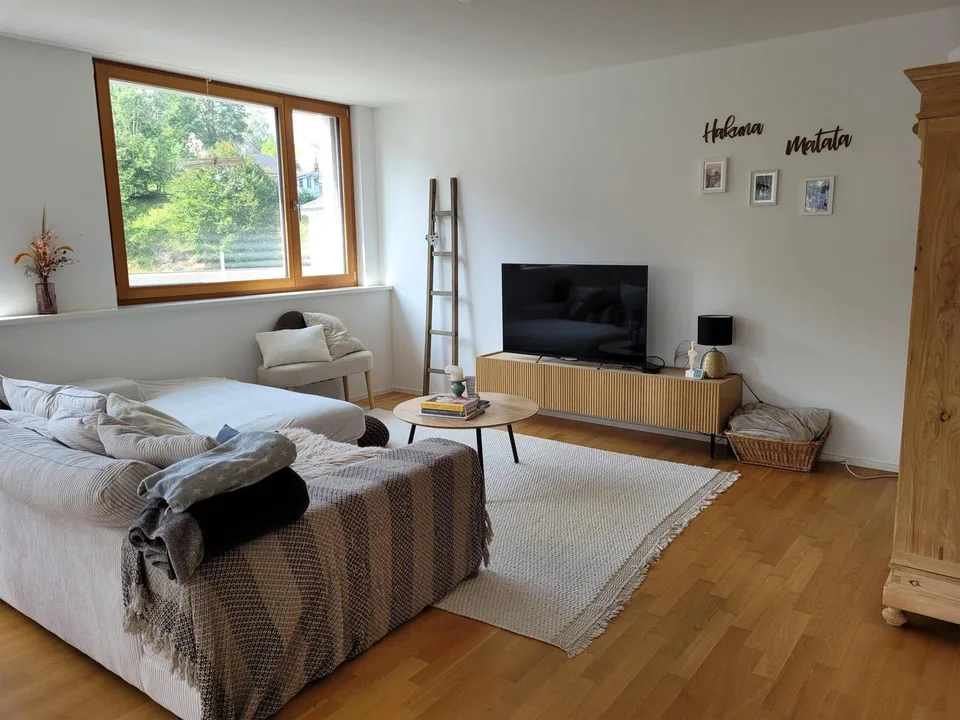 3.5 Zimmerwohnung in St. Gallen