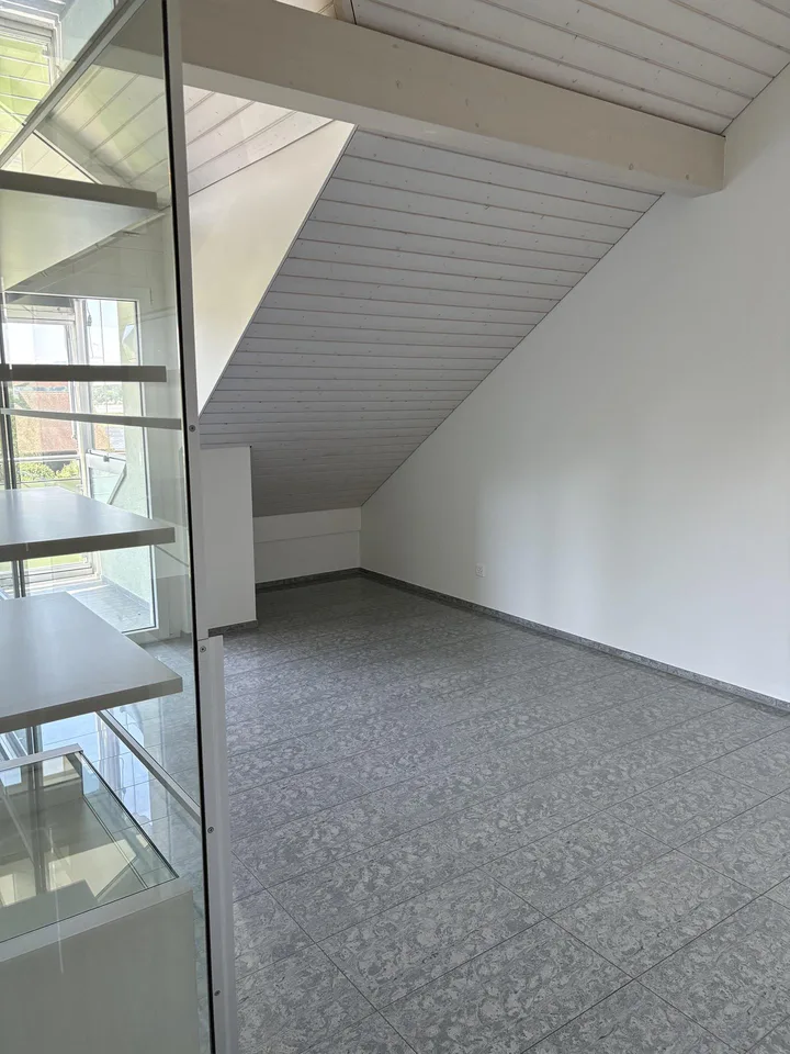 4.5-Room Attic Apartment with Winter Balcony, AC & View in Hünenberg