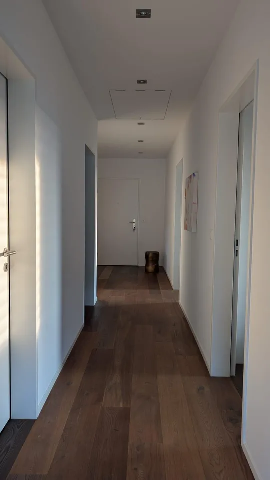 Exklusive Wohnung - bis 5m Raumhöhe - Blick auf die Lägern