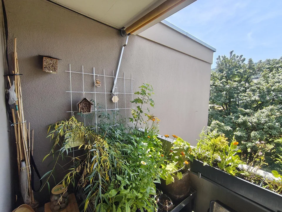 helle 3.5-Zimmer-Wohnung mit Balkon befristet Oktober 26- April 28