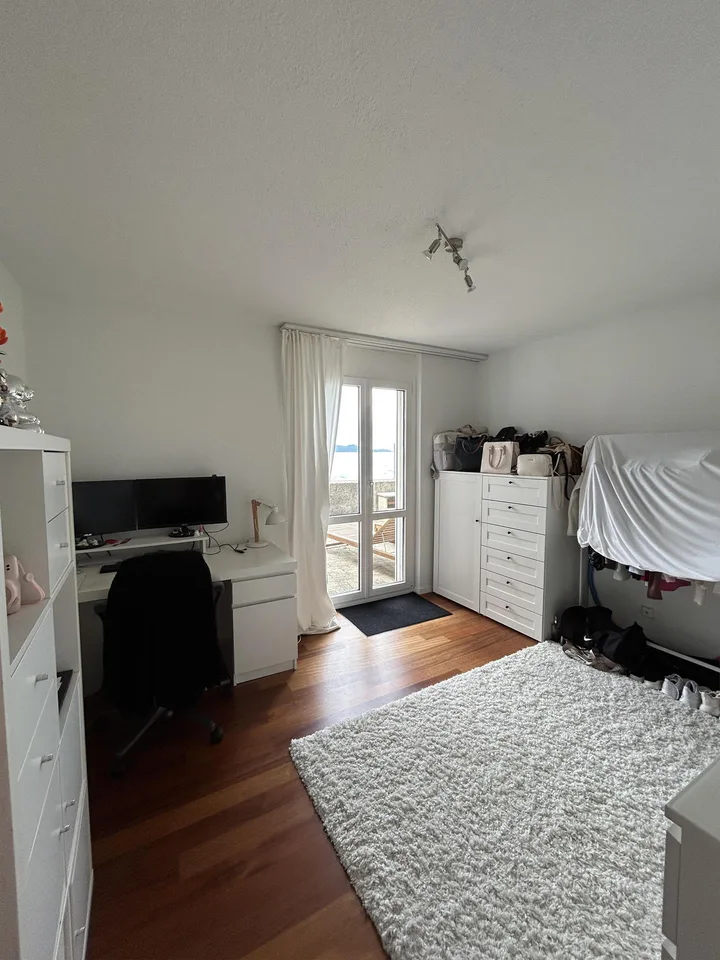 4.5-Zimmer-Wohnung mit Seeblick, grosser Dachterrasse & privatem Seezugang