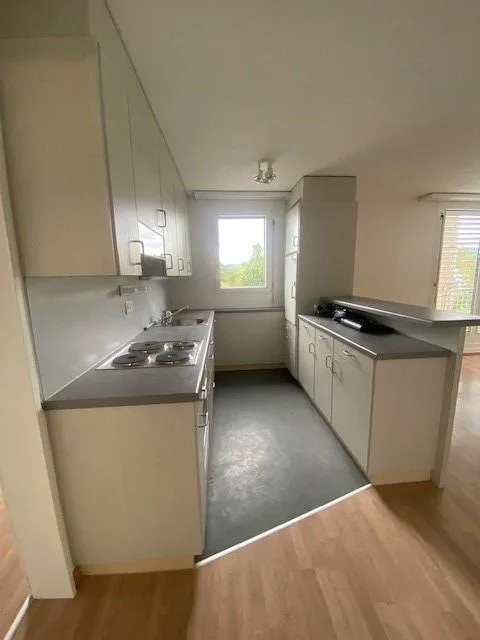 2-Zimmerwohnung mit grosser Terrasse