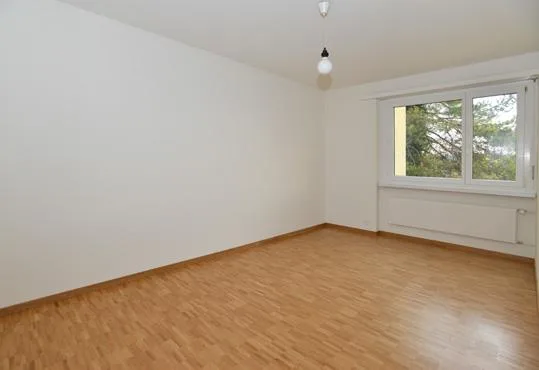 Appartement de 3,5 pièces moderne rénové ! *Location sans caution*