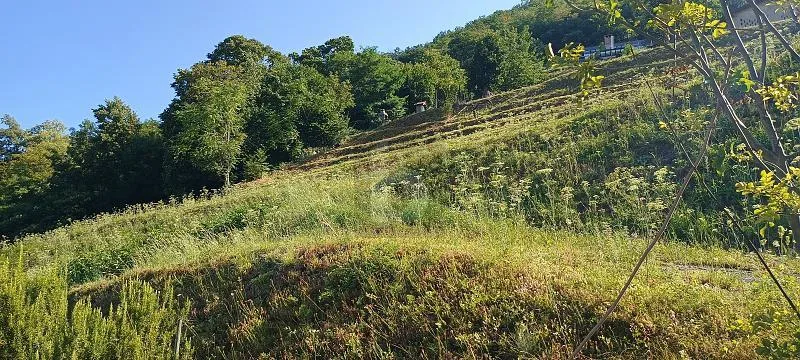 TERRENO EDIFICABILE CON VISTA APERTA